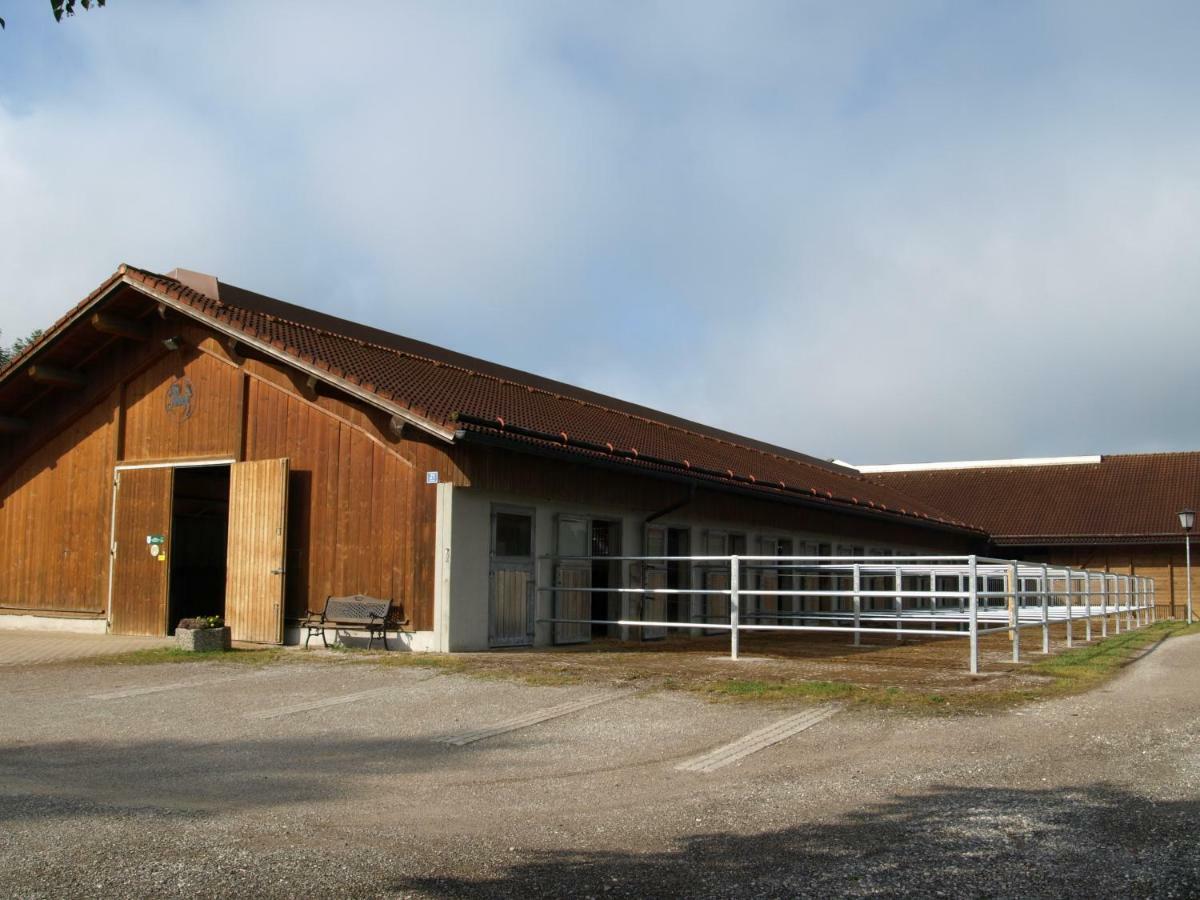 Iffeldorf Ferienwohnung Pferdehof Pankratz מראה חיצוני תמונה