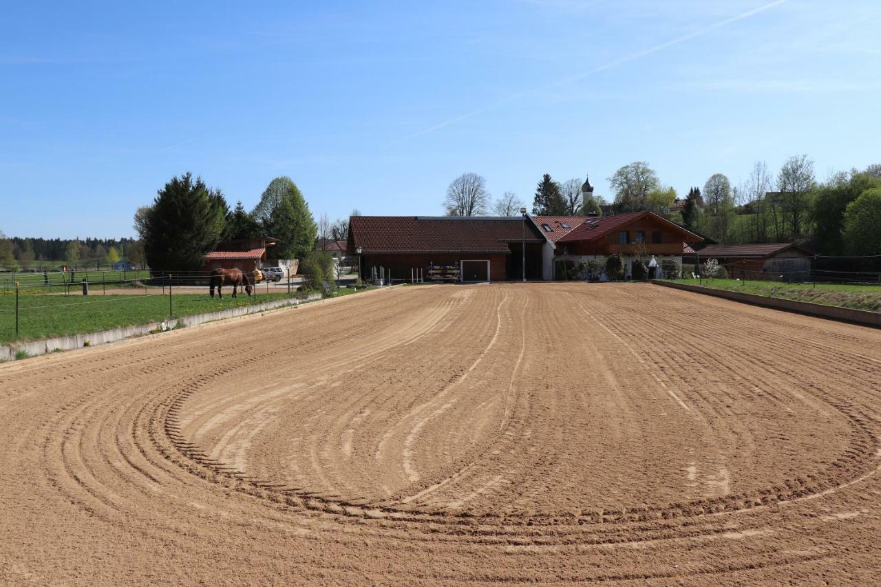 Iffeldorf Ferienwohnung Pferdehof Pankratz מראה חיצוני תמונה